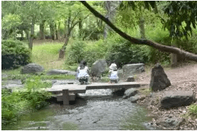 水遊びが楽しめるじゃぶじゃぶ池、公園、プール(大泉緑地公園の施設内の小川)